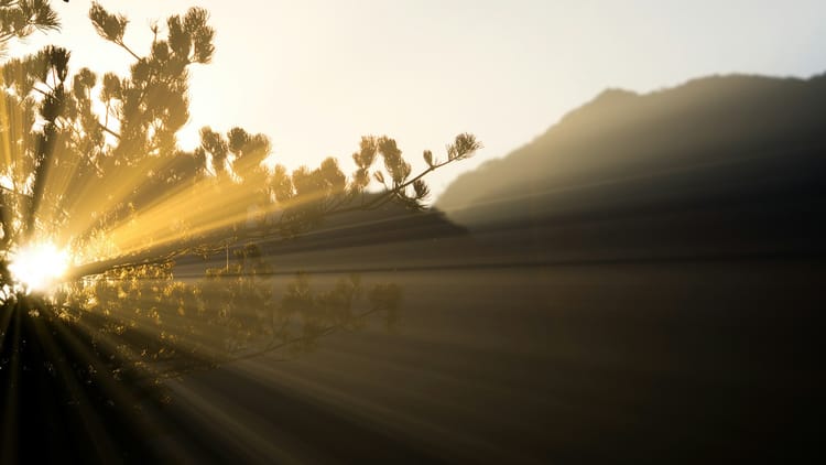 Light, Next Steps & Shiny New Things